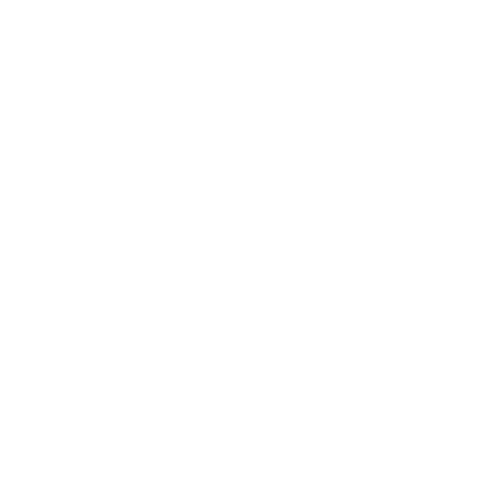 msi-logo-vit